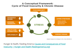 Food as a foundation to mental health and connection